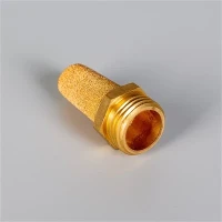 Amortizor pneumatic